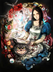 Rule 34 | 1girl, alice: madness returns, alice (alice in wonderland), alice in wonderland, alice liddell (american mcgee&#039;s alice), american mcgee&#039;s alice, animal ears, apron, black hair, cat ears, cheshire cat (alice in wonderland), closed mouth, dress, green eyes, highres, jewelry, long hair, looking at viewer, necklace, open mouth, smile
