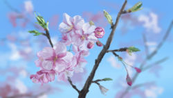 Rule 34 | blue sky, blurry, blurry background, branch, cherry blossoms, close-up, commentary request, day, flower, highres, hirota (masasiv3), leaf, no humans, outdoors, scenery, sky, still life, tree