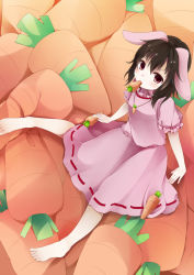 Rule 34 | 1girl, barefoot, black hair, brown eyes, carrot, carrot necklace, dress, highres, inaba tewi, jewelry, looking at viewer, mouth hold, necklace, pendant, pillow, pink dress, puffy sleeves, ren (hissorito.), ribbon-trimmed clothes, ribbon trim, short sleeves, solo, touhou