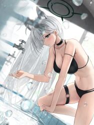 Rule 34 | 1girl, absurdres, animal ear fluff, animal ears, bare shoulders, bikini, black bikini, black choker, blue archive, blue eyes, blush, breasts, broken halo, choker, cleavage, extra ears, faucet, grey hair, hair between eyes, hair ornament, halo, hidulume, highres, large breasts, long hair, mismatched pupils, navel, o-ring, o-ring thigh strap, parted lips, shiroko (blue archive), shiroko terror (blue archive), sink, solo, swimsuit, thigh strap, water, water drop, wolf ears