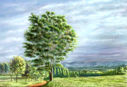 Rule 34 | blue sky, cloud, day, grass, nature, no humans, original, road, scenery, sky, t-3 design, tree