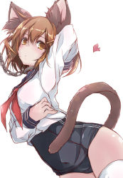 Rule 34 | 10s, 1girl, animal ears, arm up, blush, brown eyes, brown hair, cat ears, cat tail, chain, collar, commentary request, cowboy shot, hair ornament, hairclip, ikazuchi (kancolle), kantai collection, kemonomimi mode, looking at viewer, neckerchief, red neckerchief, sailor collar, school swimsuit, short hair, solo, swimsuit, swimsuit under clothes, tail, thighhighs, white thighhighs, yumesato makura