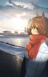 Rule 34 | 1girl, absurdres, animal ears, ashinowoto, aston machan (umamusume), breasts, brown hair, building, closed mouth, cloud, coat, glasses, green eyes, grey sweater, highres, horse ears, horse girl, long sleeves, looking at viewer, medium breasts, open clothes, open coat, outdoors, power lines, round eyewear, scarf, short hair, smile, snow, solo, standing, sweater, tree, umamusume, white coat