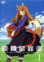 Rule 34 | 1girl, absurdres, artist request, cover, dvd cover, female focus, highres, holo, looking at viewer, official art, solo, spice and wolf, standing, tagme
