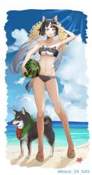 Rule 34 | 1girl, :o, absurdres, animal ears, arknights, arm up, bandeau, bare arms, bare legs, bare shoulders, bikini, black bikini, black hair, blue sky, blunt bangs, breasts, buratto (bloot 24 sas), cloud, commentary, day, dog, dog ears, food, fruit, full body, grey eyes, highres, holding, holding food, holding fruit, long hair, looking at viewer, navel, parted lips, saga (arknights), sandals, sky, small breasts, solo, standing, starfish, stomach, strapless, strapless bikini, swimsuit, thighs, tube top, very long hair, watermelon