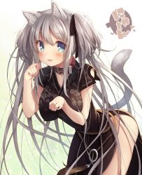 Rule 34 | 1girl, animal ears, arched back, blue eyes, blush, breasts, cat ears, cat tail, collar, dress, hair ornament, hair ribbon, highres, large breasts, long hair, looking at viewer, mabinogi, nao (mabinogi), ribbon, silver hair, solo, standing, tail, twintails, usamata