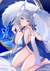 Rule 34 | 1girl, animal ear fluff, animal ears, azur lane, bare shoulders, blue butterfly, blue collar, blue dress, blue eyes, breasts, bug, butterfly, cleavage, collar, dress, evening gown, feather boa, fox ears, halter dress, halterneck, highres, indoors, bug, kitsune, kyuubi, large breasts, large tail, long hair, multiple tails, no panties, official alternate costume, sagging breasts, shinano (azur lane), shinano (dreams of the hazy moon) (azur lane), sigma rio, silver hair, sleeveless, sleeveless dress, solo, tail, very long hair, white tail