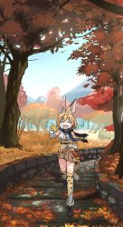 Rule 34 | 1girl, :d, ^ ^, animal ear fluff, animal ears, autumn, autumn leaves, blonde hair, blush stickers, cat girl, closed eyes, clothes lift, day, extra ears, closed eyes, facing viewer, fur trim, gloves, happy, high-waist skirt, holding, holding leaf, i love serval, kemono friends, kneehighs, leaf, lifted by self, medium hair, oekaki, open mouth, outdoors, print gloves, print skirt, running, scarf, serval (kemono friends), serval print, serval tail, shoes, skirt, skirt lift, smile, socks, solo, tail, tree, |d