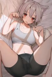 Rule 34 | 1girl, absurdres, alternate costume, animal ear fluff, animal ears, barefoot, bed sheet, bike shorts, black shorts, blush, bra, breasts, breasts apart, commentary request, feet out of frame, grey hair, hair between eyes, highres, inubashiri momiji, looking at viewer, lying, mamemochi, medium breasts, midriff, navel, on back, on bed, paid reward available, paw pose, red eyes, short hair, shorts, solo, sports bra, spread legs, tail, touhou, underwear, white bra, wolf ears, wolf girl, wolf tail