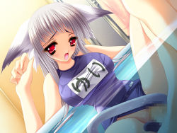 Rule 34 | 1girl, animal ears, aoi yuuji, bath, breasts, cat ears, cat tail, censored, clothing aside, dutch angle, game cg, hand up, hetero, indoors, knees up, large breasts, long hair, mixed-sex bathing, mosaic censoring, name tag, one-piece swimsuit, open mouth, penis, puni puni handmaid, pussy, red eyes, school swimsuit, sex, shared bathing, sidelocks, silver hair, sitting, solo focus, swimsuit, swimsuit aside, tail, vaginal, wading, water, yui (puni puni handmaid)
