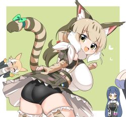 Rule 34 | .live, 4girls, animal ears, aogiri koukou, bare shoulders, belt, blonde hair, blue hair, breasts, camouflage, cat ears, cat girl, cat tail, coyote (kemono friends), etra (icetea), extra ears, gloves, green background, green eyes, grey hair, heart, highres, jacket, jungle cat (kemono friends), kemono friends, kemono friends v project, large breasts, lets0020, long hair, looking at viewer, multiple girls, ribbon, rikumu, shirt, short hair, shorts, simple background, skirt, socks, tail, thighhighs, twintails, virtual youtuber, wolf ears, wolf girl, yellow eyes