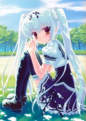 Rule 34 | 1girl, absurdres, black thighhighs, blue hair, field, frilled thighhighs, frills, highres, knees to chest, kusunoki kukune, looking at viewer, mary janes, nanao naru, orange eyes, own hands together, school uniform, shoes, sitting, solo, thighhighs, tree shade, twintails, yuyukana