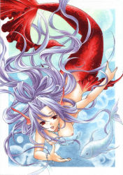 Rule 34 | 1girl, bad id, bad pixiv id, blue hair, bracelet, breasts, bubble, completely nude, fins, fish, floating hair, framed, head fins, jewelry, long hair, mermaid, monster girl, necklace, nipples, nude, nudist, original, outside border, parted lips, red eyes, scales, solo, swimming, traditional media, trimcolor, underwater, upside-down, very long hair, zenra
