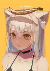 Rule 34 | 1girl, animal ear fluff, aster drawing, bare shoulders, choker, commentary, fang, fish, fish (food), highres, looking up, medium hair, open mouth, orange eyes, original, portrait, simple background, solo, white hair