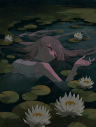 Rule 34 | 1girl, absurdres, arm up, brown hair, chokopi, dress, flower, highres, lily pad, original, partially submerged, solo, upper body, water, water lily flower, white dress