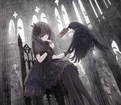 Rule 34 | 1girl, animal, bird, black dress, black flower, black hair, black pantyhose, black rose, blunt bangs, breasts, closed mouth, crow, dress, envelope, feet out of frame, flower, gothic lolita, hair flower, hair ornament, highres, holding, indoors, lolita fashion, missile228, mouth hold, on chair, original, pantyhose, puffy short sleeves, puffy sleeves, purple eyes, quill, rose, short sleeves, sitting, small breasts, smile, solo, wrist cuffs