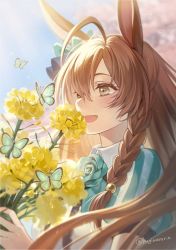Rule 34 | 1girl, ahoge, animal ears, blurry, blurry background, blush, braid, brown eyes, brown hair, butterfly wings, flower, hagiwara rin, holding, holding flower, horse ears, insect wings, looking at viewer, mejiro bright (umamusume), open mouth, outdoors, single braid, smile, solo, sparkle, twitter username, umamusume, upper body, wings