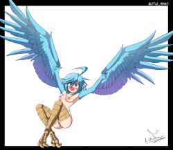 Rule 34 | 1girl, absurdres, ahoge, artist name, bird legs, black border, blue hair, blue wings, blush, border, breasts, commentary, english commentary, feathered wings, feathers, hair between eyes, harpy, highres, littlepengo, medium breasts, medium hair, monster girl, monster musume no iru nichijou, nipples, nude, open mouth, papi (monster musume), pussy, simple background, solo, talons, white background, winged arms, wings, yellow eyes