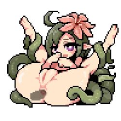 Rule 34 | 1girl, ahoge, aliasing, anal, animated, animated gif, ass, bluelab, blush, breasts, clitoris, consensual tentacles, feet, flower, focused, green hair, leaf, looking at viewer, looping animation, lowres, milkyquest, navel, nipples, nude, penis, pixel art, pointy ears, purple eyes, pussy, simple background, small breasts, smile, spread legs, sweat, tentacle sex, tentacles, thick thighs, thighs, uncensored