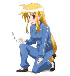 Rule 34 | 00s, 1girl, alternate costume, blonde hair, fate testarossa, long hair, low-tied long hair, lyrical nanoha, mahou shoujo lyrical nanoha, mahou shoujo lyrical nanoha a&#039;s, mahou shoujo lyrical nanoha strikers, paopa ship, red eyes, solo, track suit, white background