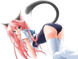 Rule 34 | 1girl, all fours, animal ears, blue eyes, bottomless, cat ears, cat tail, hand to own mouth, kamiya tomoe, long hair, looking back, no pants, one-piece swimsuit, pink hair, red hair, school swimsuit, school uniform, serafuku, simple background, solo, swimsuit, swimsuit under clothes, tail, thighhighs, white thighhighs