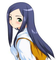 Rule 34 | 00s, 1girl, blue hair, blush, closed mouth, expressionless, from side, green eyes, kuga natsuki, long hair, long sleeves, looking at viewer, looking to the side, mishima toshihiro, my-hime, shirt, simple background, solo, sweatdrop, upper body, white background, white shirt