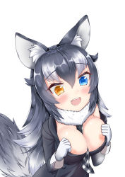 Rule 34 | 1girl, absurdres, animal ears, between breasts, blue eyes, blush, breasts, fangs, fur collar, gloves, grey wolf (kemono friends), heterochromia, highres, kemono friends, large breasts, looking at viewer, multicolored hair, necktie, necktie between breasts, nipples, open clothes, open mouth, plaid necktie, plaid neckwear, simple background, solo, tail, two-tone hair, white background, white gloves, wolf ears, wolf girl, wolf tail, yellow eyes, yeo arin