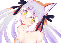 Rule 34 | 1girl, animal ears, bare shoulders, brown hair, extra ears, fox ears, fox girl, grey hair, island fox (kemono friends), kemono friends, kemono friends v project, long hair, looking at viewer, nekomimi illust, ribbon, simple background, solo, strapless, tube top, twintails, upper body, virtual youtuber, yellow eyes