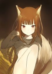 Rule 34 | 1girl, animal ears, bad id, bad tumblr id, between legs, blunt bangs, bottomless, brown background, brown hair, clothes lift, hand in own hair, hip focus, holo, long hair, looking at viewer, lpip, naked shirt, no bra, no panties, red eyes, shirt, shirt lift, sidelocks, simple background, smile, solo, spice and wolf, tail, tail between legs, thighs, tsurime, very long hair, wolf ears, wolf tail