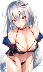 Rule 34 | 1girl, arknights, bare shoulders, bikini, black bikini, black choker, blush, breasts, choker, cleavage, collarbone, commentary request, cowboy shot, fish hair ornament, frown, hair between eyes, hair ornament, halterneck, halterneck, highres, large breasts, long hair, looking at viewer, multi-strapped bikini, navel, off shoulder, parted lips, red eyes, ruwoka, silver hair, simple background, skadi (arknights), solo, stomach, swimsuit, thighs, very long hair, wet, white background