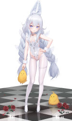 Rule 34 | 1girl, absurdres, animal ear fluff, animal ears, azur lane, bird, blue eyes, braid, breasts, cameltoe, checkered floor, chick, crotchless, crotchless pantyhose, dkxlek, fake animal ears, flower, gluteal fold, groin, hand on own hip, high heels, highleg, highleg leotard, highres, le malin (azur lane), le malin (listless lapin) (azur lane), legs, leotard, long hair, manjuu (azur lane), official alternate costume, pantyhose, playboy bunny, rabbit ears, rose, shoes, silver hair, simple background, small breasts, thigh strap, thighs, twin braids, twintails, very long hair, white background, white footwear, white leotard, white pantyhose, wrist cuffs