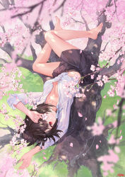 Rule 34 | 1girl, atdan, barefoot, black hair, black skirt, blurry, breasts, cherry blossoms, cleavage, depth of field, flower, highres, long sleeves, looking at viewer, medium breasts, midriff, miniskirt, original, petals, pink flower, pleated skirt, red eyes, shirt, short hair, skirt, smile, solo, thighs, tree, upside-down, white shirt