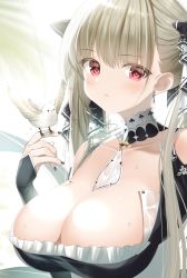 Rule 34 | 1girl, animal, azur lane, between breasts, bird, bird on hand, black dress, black nails, bow, breasts, cleavage, closed mouth, collarbone, commentary request, detached collar, dress, formidable (azur lane), frilled dress, frills, futaba miwa, grey hair, hair bow, hand up, large breasts, long hair, long sleeves, looking at viewer, nail polish, red eyes, signature, solo, upper body