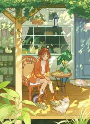 Rule 34 | 1girl, animal ears, brown eyes, brown hair, cat, chair, commentary, cup, curtains, cushion, dappled sunlight, day, door, drinking glass, flower, from side, green footwear, grey shorts, hair bun, half updo, hanging plant, highres, holding, holding flower, ivy, jacket, leaf, on chair, onoyama (machikz1), open clothes, open jacket, orange jacket, orange socks, original, outdoors, pet door, plant, porch, potted plant, rug, scenery, shelf, shirt, short hair, shorts, single hair bun, sitting, slippers, smile, socks, solo, sunlight, table, vase, white shirt, wide shot, window