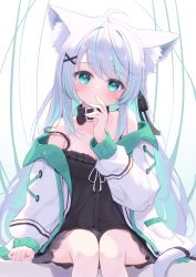 Rule 34 | 1girl, animal collar, animal ear fluff, animal ears, aqua eyes, aqua hair, babydoll, bare shoulders, cat ears, cat girl, cat tail, collar, expressionless, highres, jacket, long hair, long sleeves, looking at viewer, mikaze oto, multicolored hair, off shoulder, open clothes, open jacket, original, sitting, strap slip, streaked hair, tail, white hair