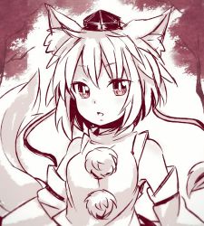 Rule 34 | 1girl, animal ears, detached sleeves, hat, ibaraki natou, looking at viewer, monochrome, pom pom (clothes), short hair, solo, tail, tokin hat, touhou, tree, upper body, wolf ears, wolf tail