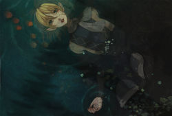 Rule 34 | 1girl, blonde hair, cosmic (crownclowncosmic), dark, female focus, flower, green eyes, lying, mizuhashi parsee, on back, partially submerged, petals, plant, pointy ears, solo, touhou, water