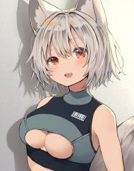 Rule 34 | 1girl, animal ears, barcode, blush, breasts, fang, grey background, highres, inubashiri momiji, large breasts, looking at viewer, mamemochi, name tag, open mouth, red eyes, short hair, silver hair, smile, solo, tail, touhou, underboob, upper body, vest, wolf ears, wolf tail