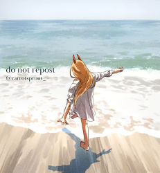 Rule 34 | 1girl, bare shoulders, barefoot, beach, blonde hair, carrotsprout, chainsaw man, day, highres, horns, leg up, long hair, looking away, ocean, power (chainsaw man), red horns, sand, shadow, shirt, shirt partially removed, sky, solo, twitter username, water, white shirt