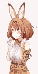 Rule 34 | 10s, 1girl, animal ears, bare shoulders, blush, bow, bowtie, brown eyes, cat ears, commentary request, elbow gloves, gloves, grin, hands up, high-waist skirt, itituki, kemono friends, light brown hair, looking to the side, serval (kemono friends), serval print, shirt, short hair, simple background, skirt, sleeveless, smile, solo, teeth, upper body