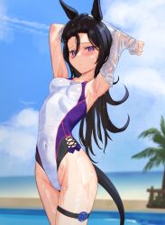 Rule 34 | 1girl, animal ears, armpits, beach, black hair, blurry, blurry background, blush, breasts, competition swimsuit, covered navel, cowboy shot, hair between eyes, highres, horse ears, horse girl, horse tail, long hair, looking at viewer, medium breasts, one-piece swimsuit, outdoors, purple eyes, rice shower (umamusume), small breasts, solo, swimsuit, tail, tatsumi yashiro, thigh strap, umamusume, wet, wet clothes