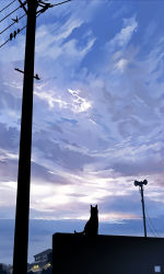 Rule 34 | animal, day, dog, highres, house, no humans, original, outdoors, power lines, scenery, silhouette, sky, yuushoku