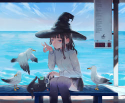 Rule 34 | 1girl, bird, black cat, black hair, black skirt, black thighhighs, blue eyes, braid, camera, cat, cloud, cowboy shot, day, frog, frog on head, hat, highres, long sleeves, ocean, original, pleated skirt, seagull, shrimp cc, sitting, skirt, sky, solo, thighhighs, witch, witch hat
