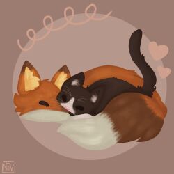 Rule 34 | animal, animal ear fluff, animal focus, artist name, bad tag, brown background, brown tail, cat, commission, commissioner upload, cuddling, fox, heart, highres, no humans, non-web source, orange tail, original, signature, sleeping, tail, two-tone background, vanta nev, whiskers