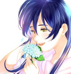 Rule 34 | 1girl, a song for you! you? you!, artist name, artist request, blue flower, blue hair, blush, bow, bowtie, braid, breasts, collared shirt, female focus, flower, hair between eyes, hair ornament, hair over shoulder, hair ribbon, hairbraid, highres, holding, holding flower, leaf, leaf hair ornament, long hair, looking at viewer, love live!, love live! school idol festival, love live! school idol project, neckerchief, parted lips, pink bow, pink neckwear, pink scrunchie, ribbon, sailor collar, scrunchie, shirt, smile, solo, sonoda umi, upper body, white ribbon, white sailor collar, white shirt, wrist scrunchie, yellow eyes