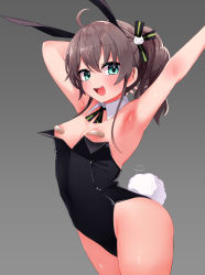 Rule 34 | 1girl, ahoge, animal ears, armpits, bandaid, bandaids on nipples, bare legs, black bow, black bowtie, black leotard, black ribbon, blue eyes, bow, bowtie, breasts, brown hair, cat hair ornament, covered erect nipples, cowboy shot, detached collar, festa11307070, grey background, hair between eyes, hair ornament, hair ribbon, hololive, large areolae, leotard, long hair, looking at viewer, natsuiro matsuri, pasties, playboy bunny, rabbit ears, rabbit tail, ribbon, side ponytail, simple background, small breasts, smile, solo, strapless, strapless leotard, tail, virtual youtuber, wrist cuffs