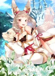 Rule 34 | absurdres, animal ears, breasts, cat ears, chest jewel, cleavage, detached sleeves, dromarch (xenoblade), facial mark, highleg, highleg leotard, highres, leotard, long hair, low twintails, nia (blade) (xenoblade), nia (xenoblade), risumi (taka-fallcherryblossom), small breasts, thighhighs, twintails, very long hair, xenoblade chronicles (series), xenoblade chronicles 2, yellow eyes
