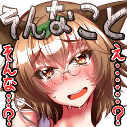 Rule 34 | 1girl, animal ears, bespectacled, blush, brown hair, futatsuiwa mamizou, glasses, leaf, leaf on head, looking at viewer, lowres, object on head, open mouth, pince-nez, portrait, raccoon ears, short hair, smile, solo, sweat, touhou, translation request, zan (harukahime)