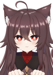 Rule 34 | 1girl, :3, absurdres, ahoge, animal ears, baku (ggininder0), black hair, cat ears, cat girl, chinese clothes, commentary request, genshin impact, hair between eyes, highres, hu tao (genshin impact), kemonomimi mode, long hair, long sleeves, looking at viewer, paw pose, red eyes, sidelocks, simple background, smile, solo, symbol-shaped pupils, twintails, white background