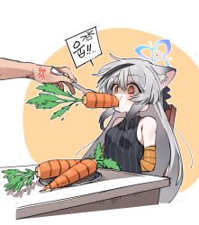 Rule 34 | 1boy, 1girl, absurdres, anger vein, animal ear fluff, animal ears, bdsm, black dress, blue archive, blue halo, blush, bondage, bound, breasts, carrot, dress, extra ears, food, fork, grey hair, halo, highres, holding, holding fork, je o mo, kokona (blue archive), long hair, orange eyes, shaded face, small breasts, striped clothes, striped dress, tiger ears, torture, vegetable, vertical-striped clothes, vertical-striped dress